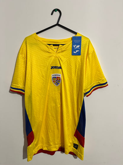 Birligea jersey 25/26 Romania