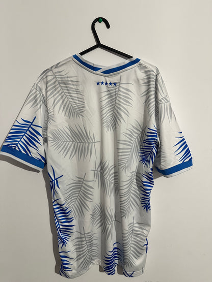 Brazilia 22/23 jersey special edition